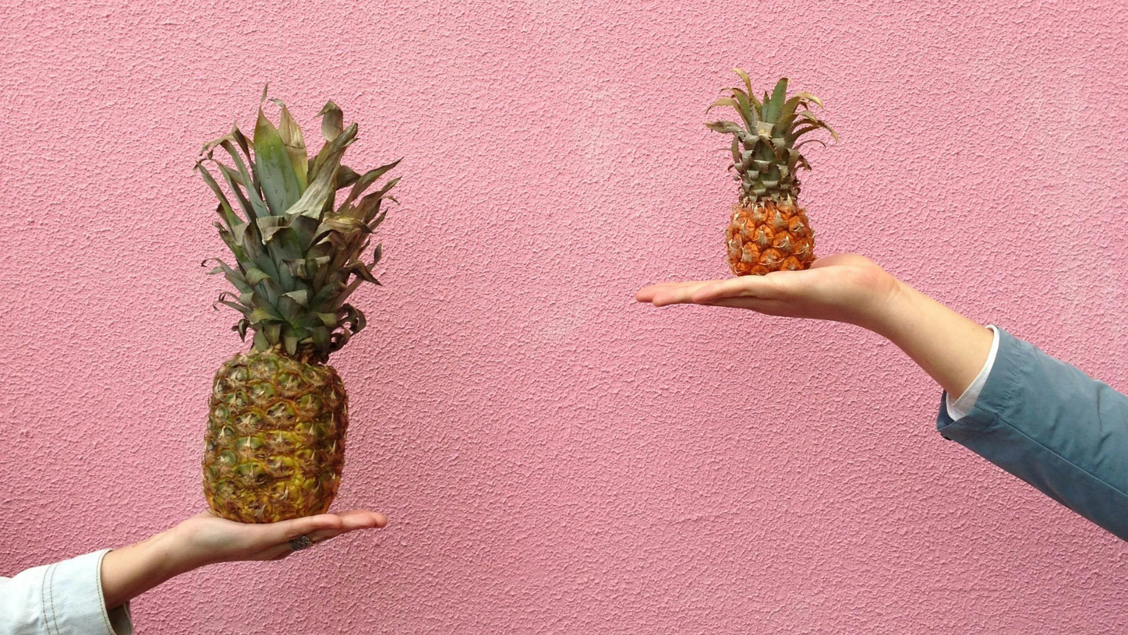 zwei unterschiedlich große Ananas auf jeweils einer Hand